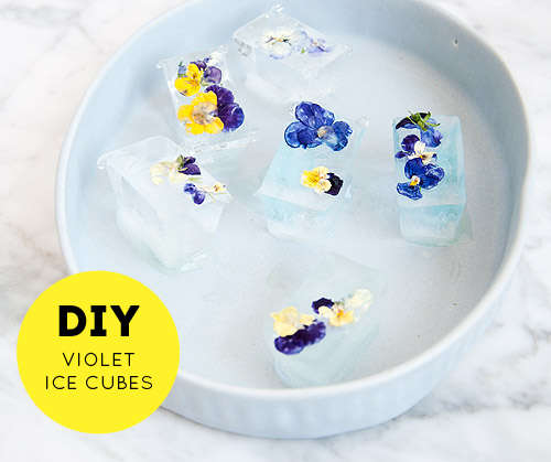 DIY Floral Ice Cubes