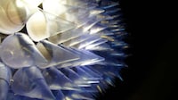 Spiky Interactive Light Sculptures Image 4