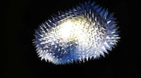 Spiky Interactive Light Sculptures Image 5