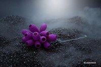 Organic 3D-Printed Accessories Image 4