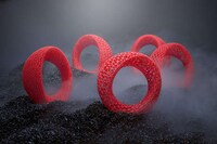Organic 3D-Printed Accessories Image 5