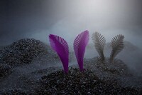Organic 3D-Printed Accessories Image 6