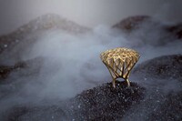 Organic 3D-Printed Accessories Image 7