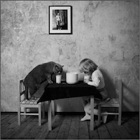 Best Friend Feline Photography Image 3