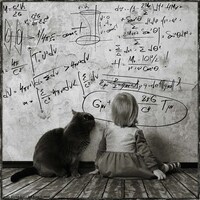 Best Friend Feline Photography Image 6