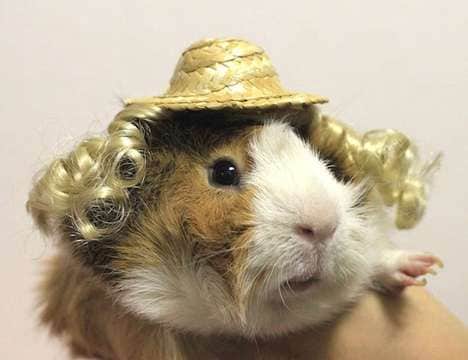Designer Rodent Ensembles