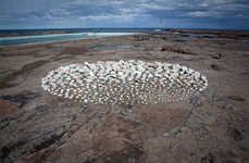 Painted Cement Installations