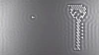 Record-Breaking Microscopic Movies Image 2