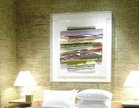 Webbed Wall Skins Image 3