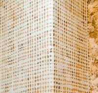 Webbed Wall Skins Image 6