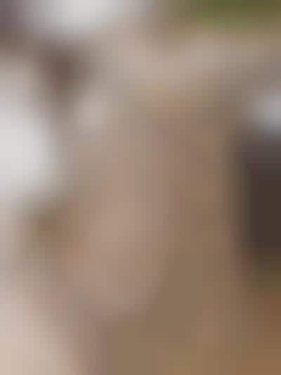 Delectable Cookie Crotchets