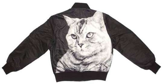 40 Funky Feline Fashion Styles