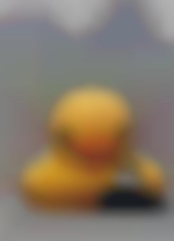 Giant Floating Rubber Ducks (UPDATE)