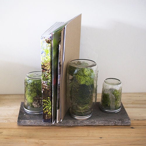 22 Tranquil Terrarium Products