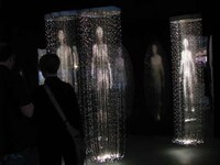 Luminescent Alien Displays Image 4