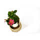 Playful Interactive Planters Image 2