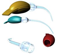Exquisite Avian Oil Dispensers Image 3