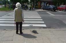 Disappearing Dog Photography