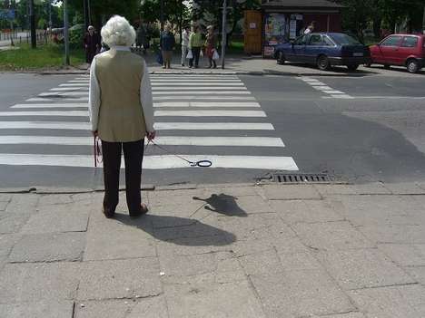 Disappearing Dog Photography