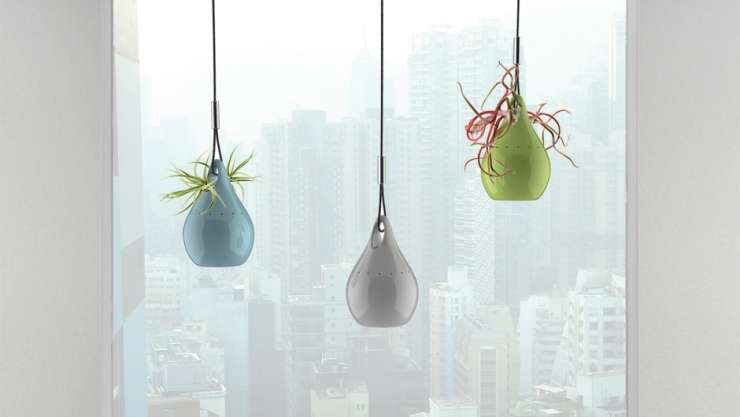 Arboreal Air Purifiers