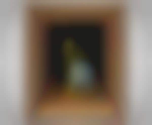 Regal Intergalactic Portraits