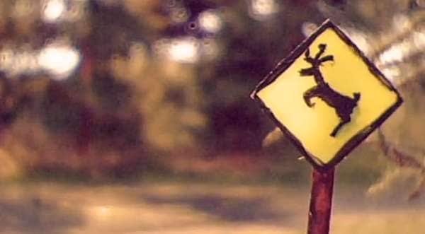 Stop-Motion Action Movies