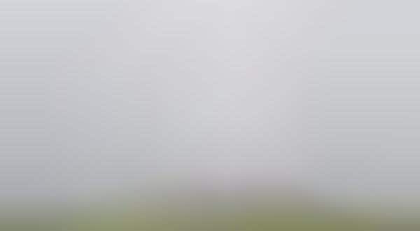 Pale Wasteland Photography
