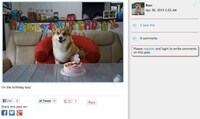 Paw-Friendly Networking Sites Image 2