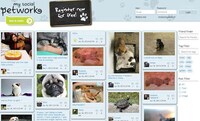 Paw-Friendly Networking Sites Image 4