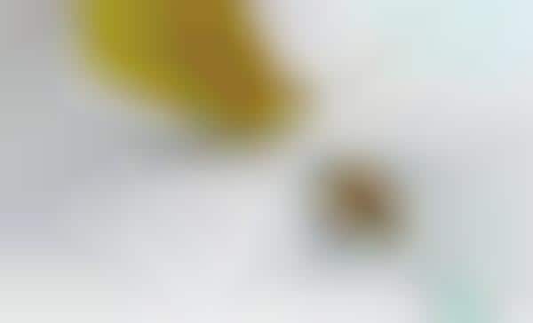 I-Spy Cameras