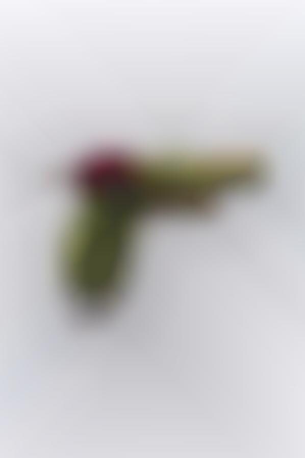 Peaceful Plant Firearms