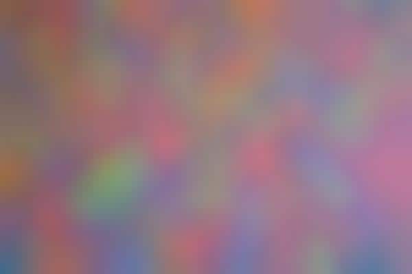 DIY Vibrantly Checkered Wallpaper