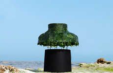 Seaweed Accentuated Lamps