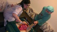 Surgery-Replicating Sweets Image 2