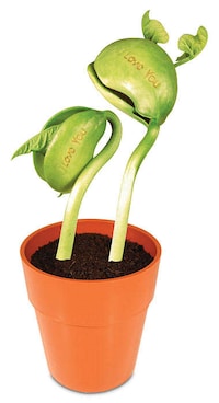 Geeky Feminine Gifts Sets Image 4
