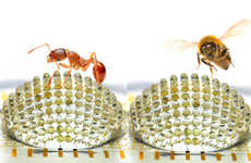 Insect-Inspired Camera Lenses