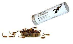 Toasted Scorpion Snacks Image 1
