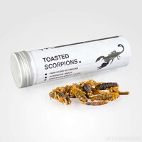 Toasted Scorpion Snacks Image 3
