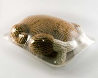 Air-Tight Knitted Meats Image 4