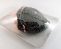 Air-Tight Knitted Meats Image 5