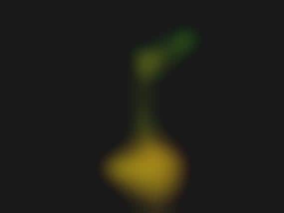 Luminescent Foliage Lighting