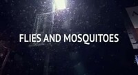 Bug-Blasting Billboards