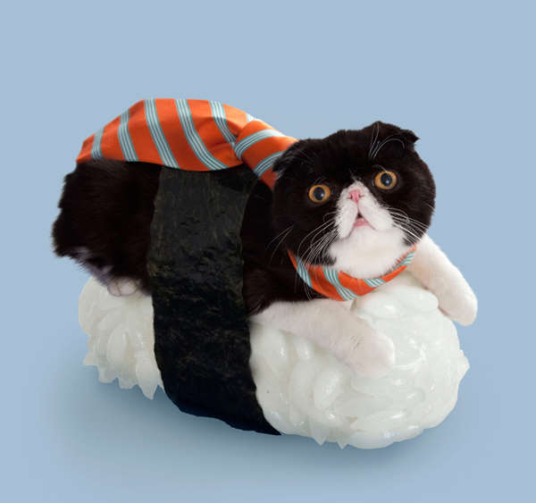 61 Wacky Pet Accessories