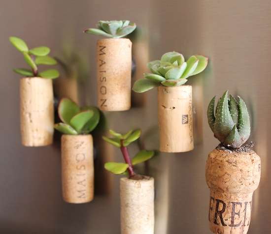 DIY Magnetic Cork Planters