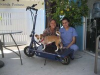 Sustainable Solar-Powered Scooters Image 5