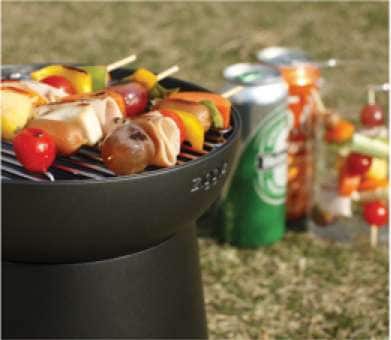 Barbecuing Lunch Boxes