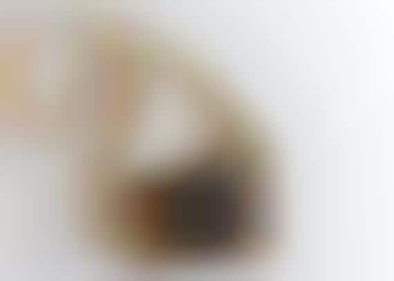 Timber Toy Cameras