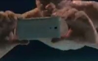 Advanced Waterproof Smartphones Image 2