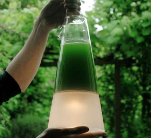 65 Unexpected Energy Sources