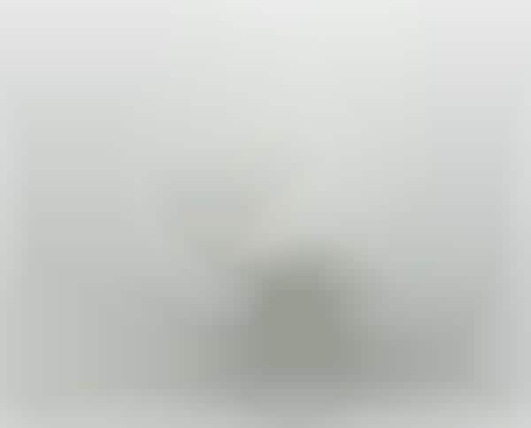 Ghostly Landscape Photography